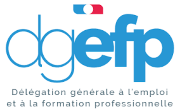 Délégation générale à l’emploi et à la formation professionnelle (DGEFP)