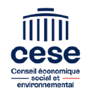 CONSEIL ÉCONOMIQUE SOCIAL ET ENVIRONNEMENTAL